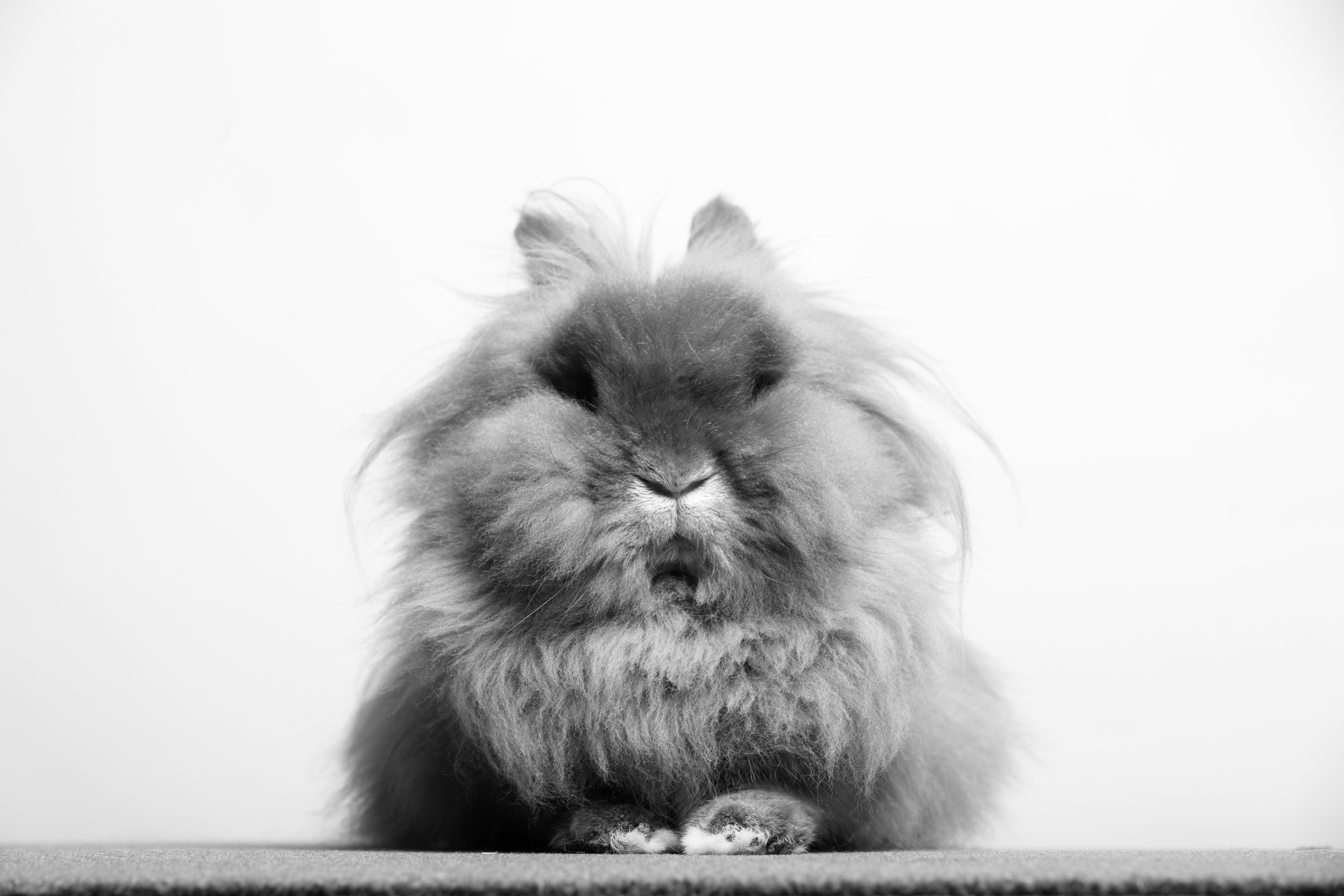 TSY Headshot_BW_RT-49